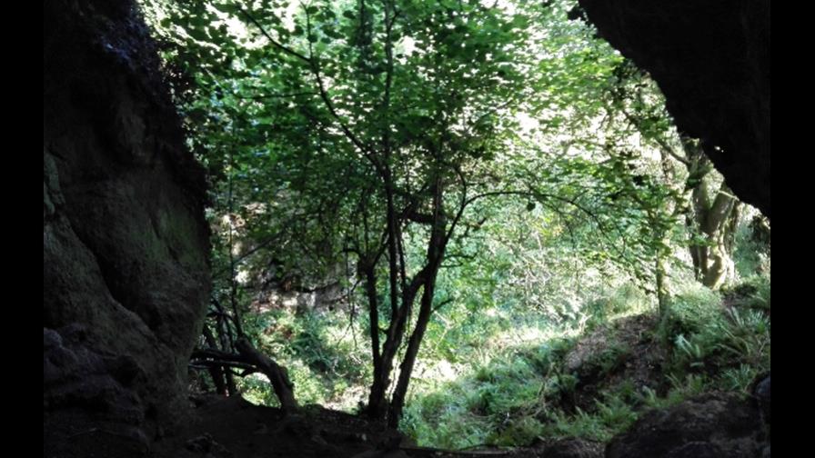 Fósiles constatan que neandertales y sapiens cazaban igual en norte de España