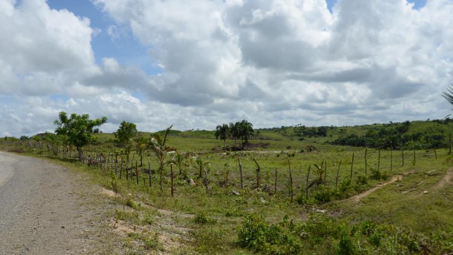 CEA: un “elefante blanco” que vende los terrenos a precio de “vaca muerta”