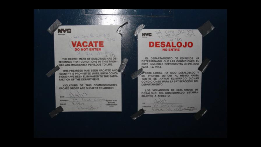 Dominicano sobrevive a leptospirosis por invasión de ratas en El Bronx