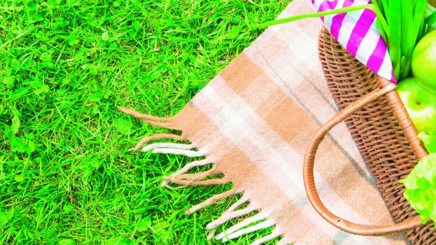 Llegó el día de “El picnic”