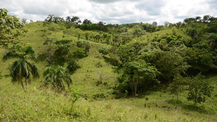 El CEA revende a offshore ‘al Portador’ terrenos cedidos al Banco Central 