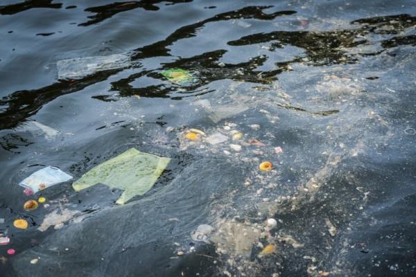 Micropartículas de plástico son 30 % de las “sopas” de basura en los mares