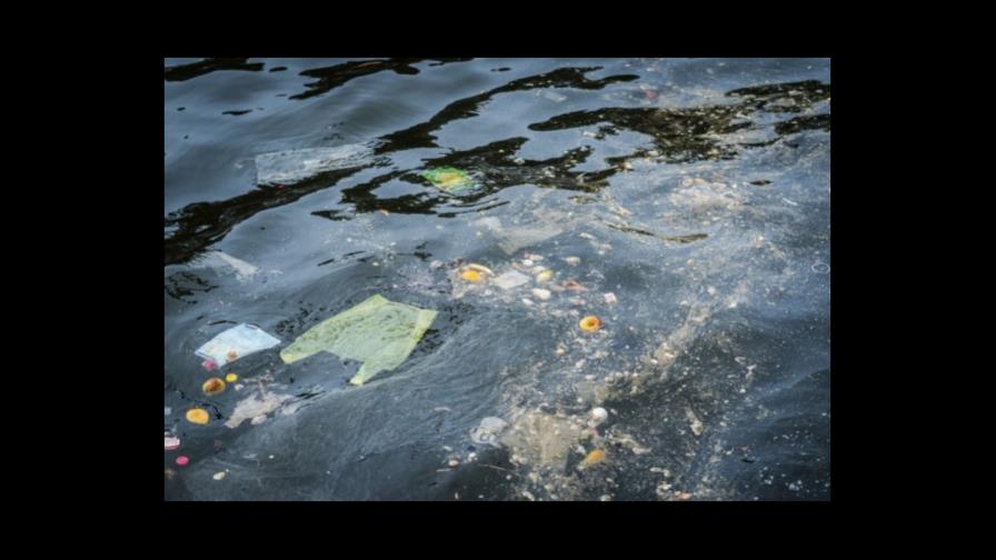 Micropartículas de plástico son 30 % de las “sopas” de basura en los mares