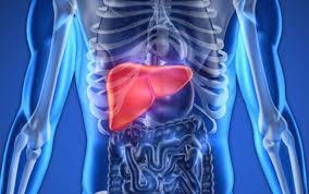 Un estudio abre la vía a mejorar el tratamiento del hígado graso más severo