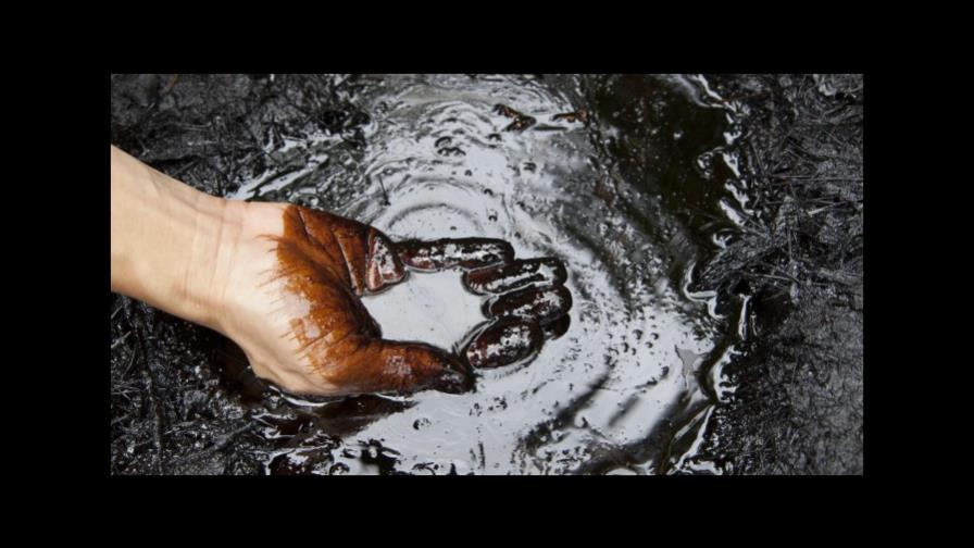 El petróleo de Texas abre con descenso de 1.12% y se coloca a 53.84 dólares el barril