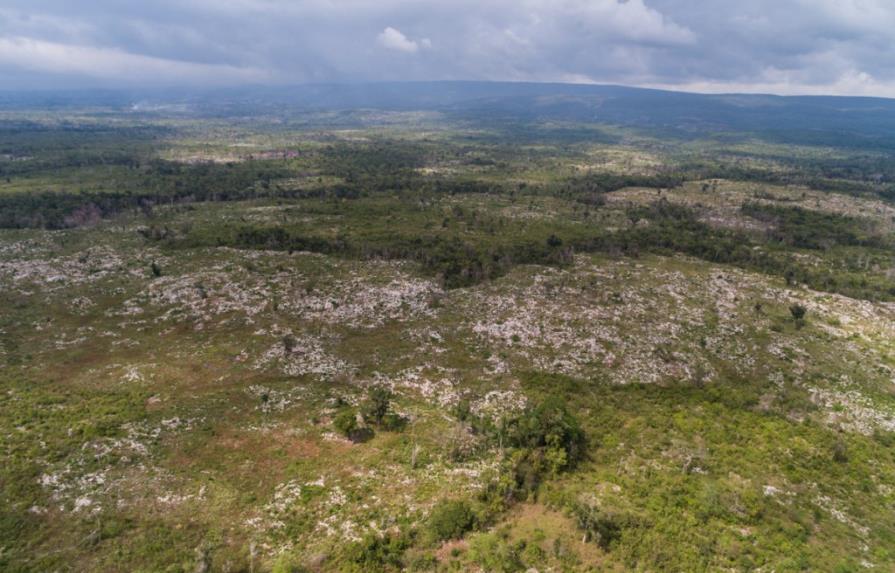 Guatemala aplicará tecnología espacial para combatir la deforestación