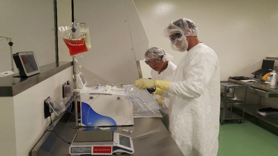 Terapia genética resulta efectiva contra cáncer 