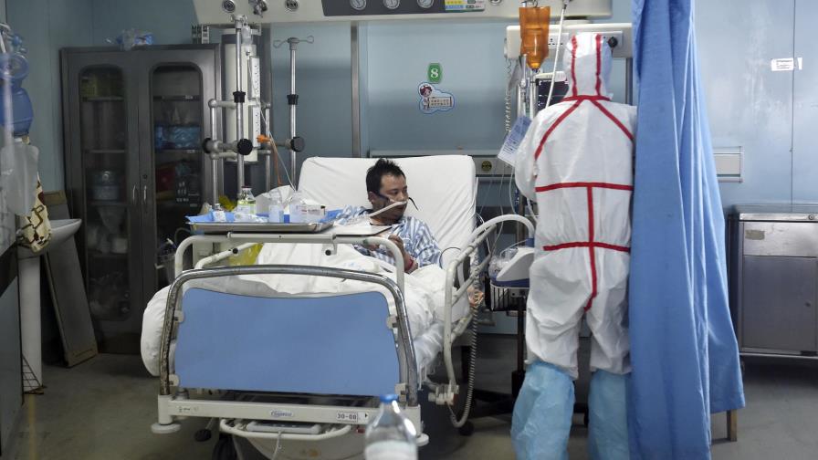 La OMS  reporta mutaciones en el virus de la gripe aviar 