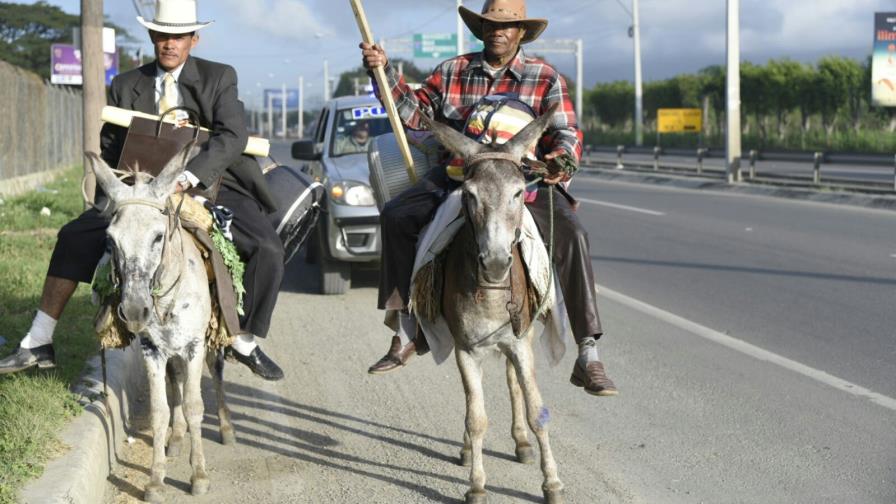 Peregrinos irán en burro desde Puerto Plata hasta el Palacio Nacional Peregrinos irán en burro desde Puerto Plata hasta el Palacio Nacional