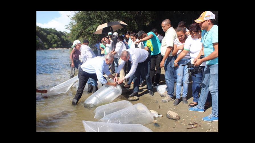 Liberan 10,000 alevines de tilapia en el río Yaque del Norte