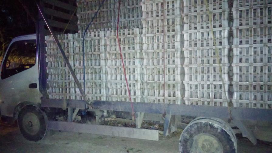 Hay 36 detenidos para investigación por el triple homicidio en Bávaro