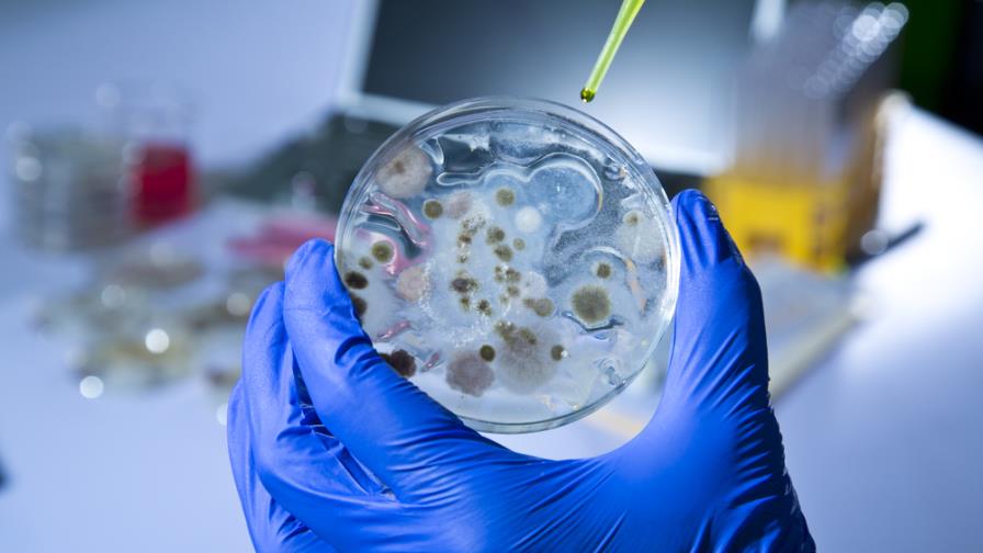 República Dominicana entre seis países con bacterias multirresistentes