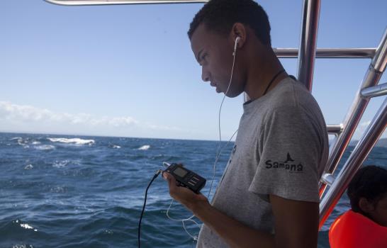 Ballenas y alta tecnología ayudan a sordos en República Dominicana 