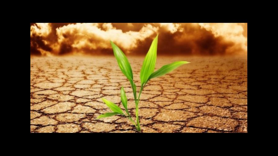 Exjefes de medioambiente avisan de los efectos de los recortes de Trump