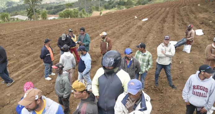 Intentan desalojar a bombazos  a productores agrícolas de Valle Nuevo 