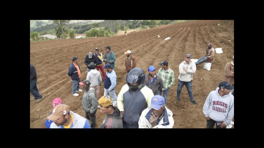Intentan desalojar a bombazos  a productores agrícolas de Valle Nuevo 