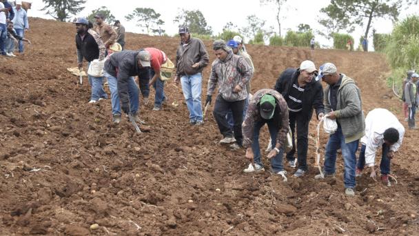 Agricultores desalojados de Valle Nuevo marchan en Constanza La Vega