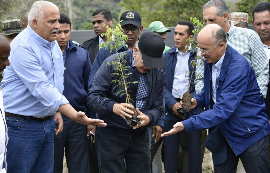 Danilo siembra un árbol para anunciar programa de reforestación 
