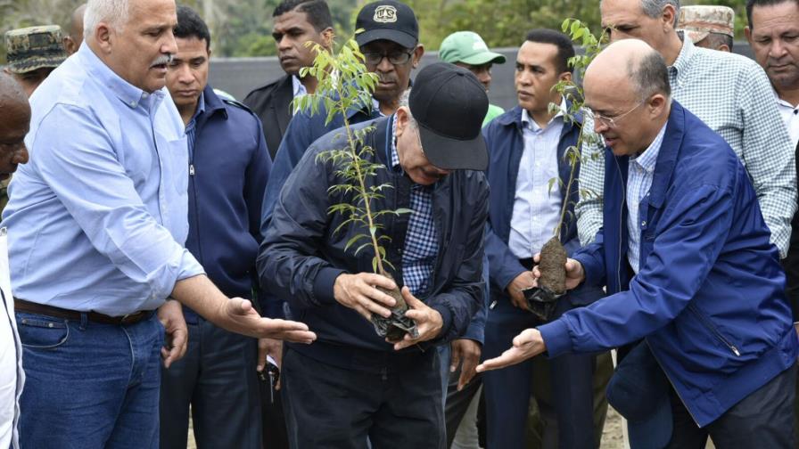Danilo siembra un árbol para anunciar programa de reforestación 
