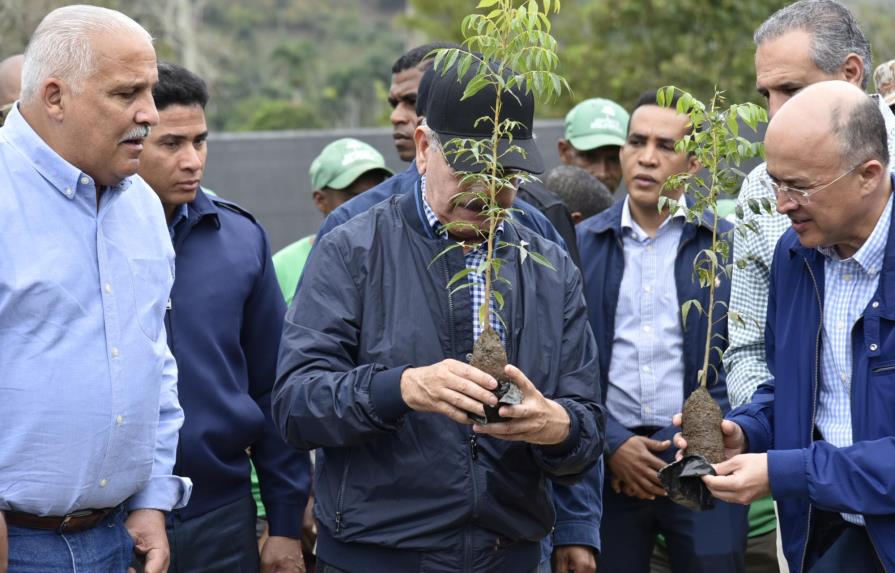 Medina deja en marcha un plan para sembrar  700 mil tareas de árboles