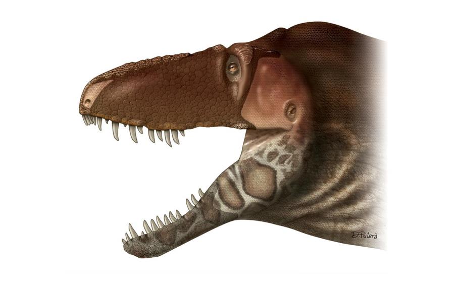 El tiranosaurio tenía una cara sin labios y con escamas, similar al cocodrilo