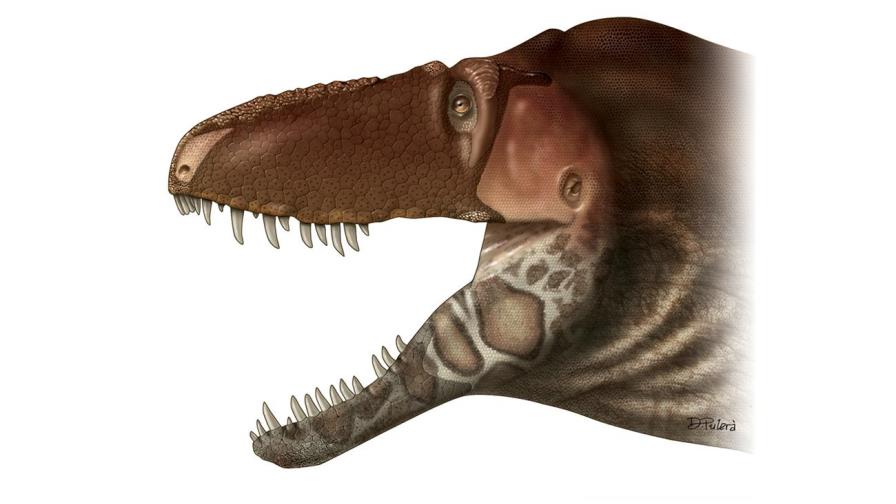 El tiranosaurio tenía una cara sin labios y con escamas, similar al cocodrilo