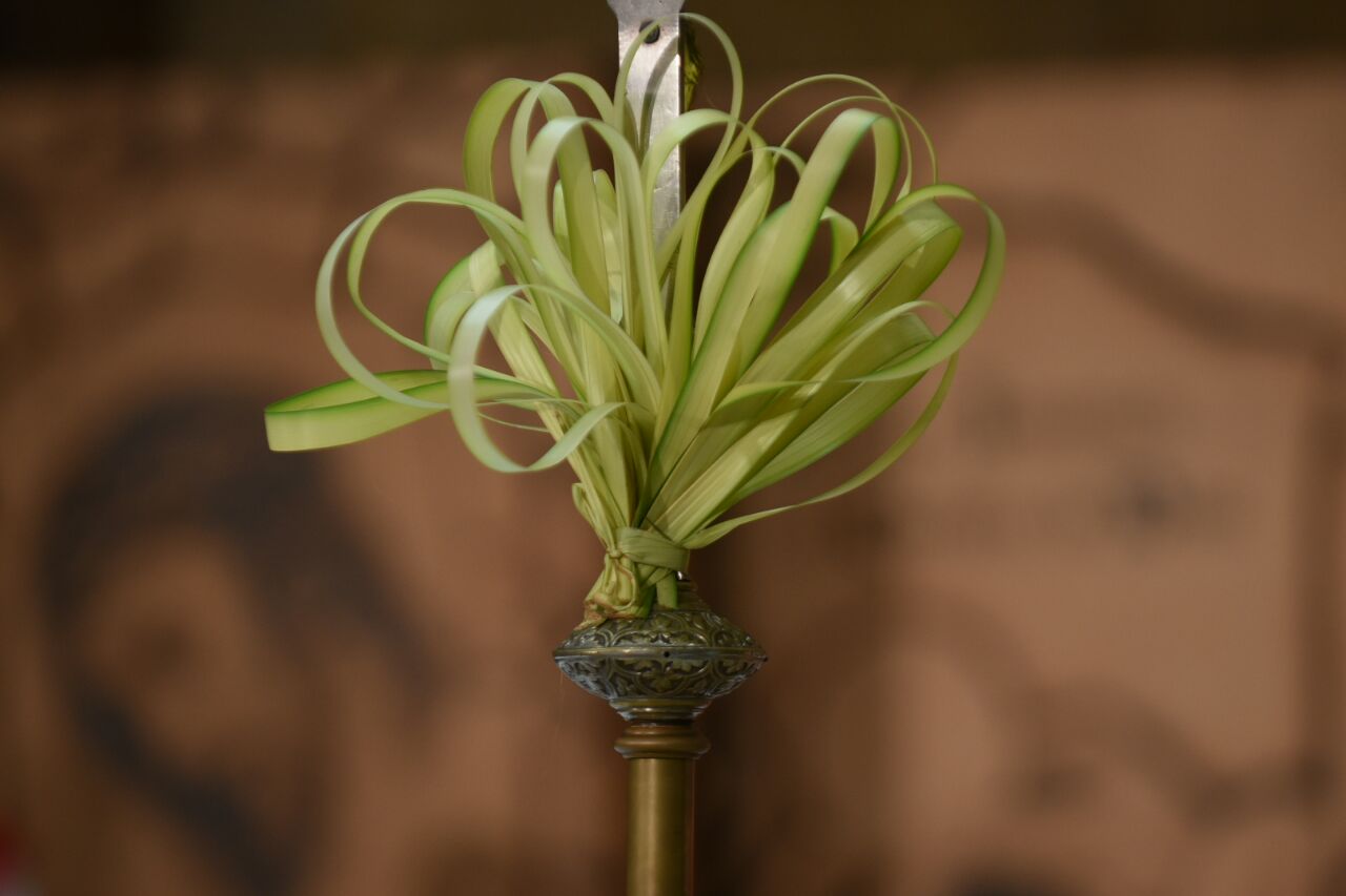 Feligreses participaron de la misa por el Domingo de Ramos, ayer sábado en la iglesia Parroquia San Antonio De Padua.