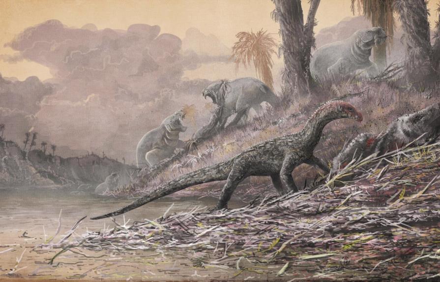 Los primeros parientes de los dinosaurios eran cuadrúpedos, según estudio