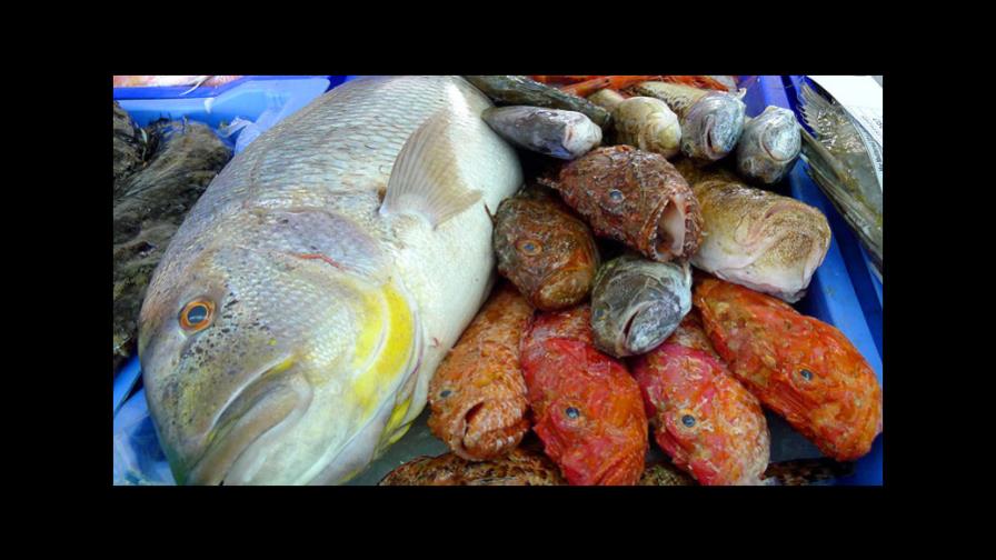 Mercado de pescado más grande de América Latina, un hervidero en Semana Santa