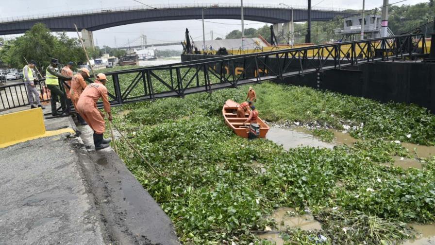 Cierran puente flotante por cúmulo de lilas y desechos Cierran puente flotante por cúmulo de lilas y desechos