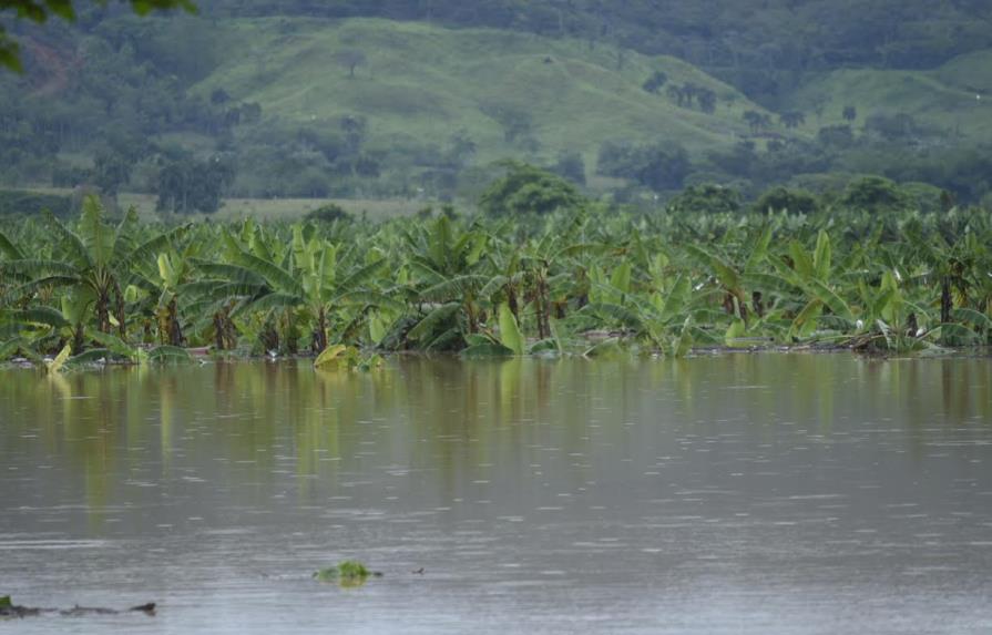 Agricultura evalúa daños ocasionados por las lluvias a ese sector