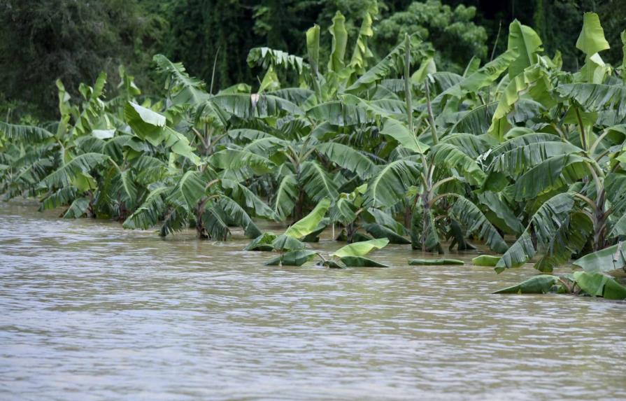 Más de cinco mil tareas de productos agrícolas destruidas en el Cibao por las lluvias