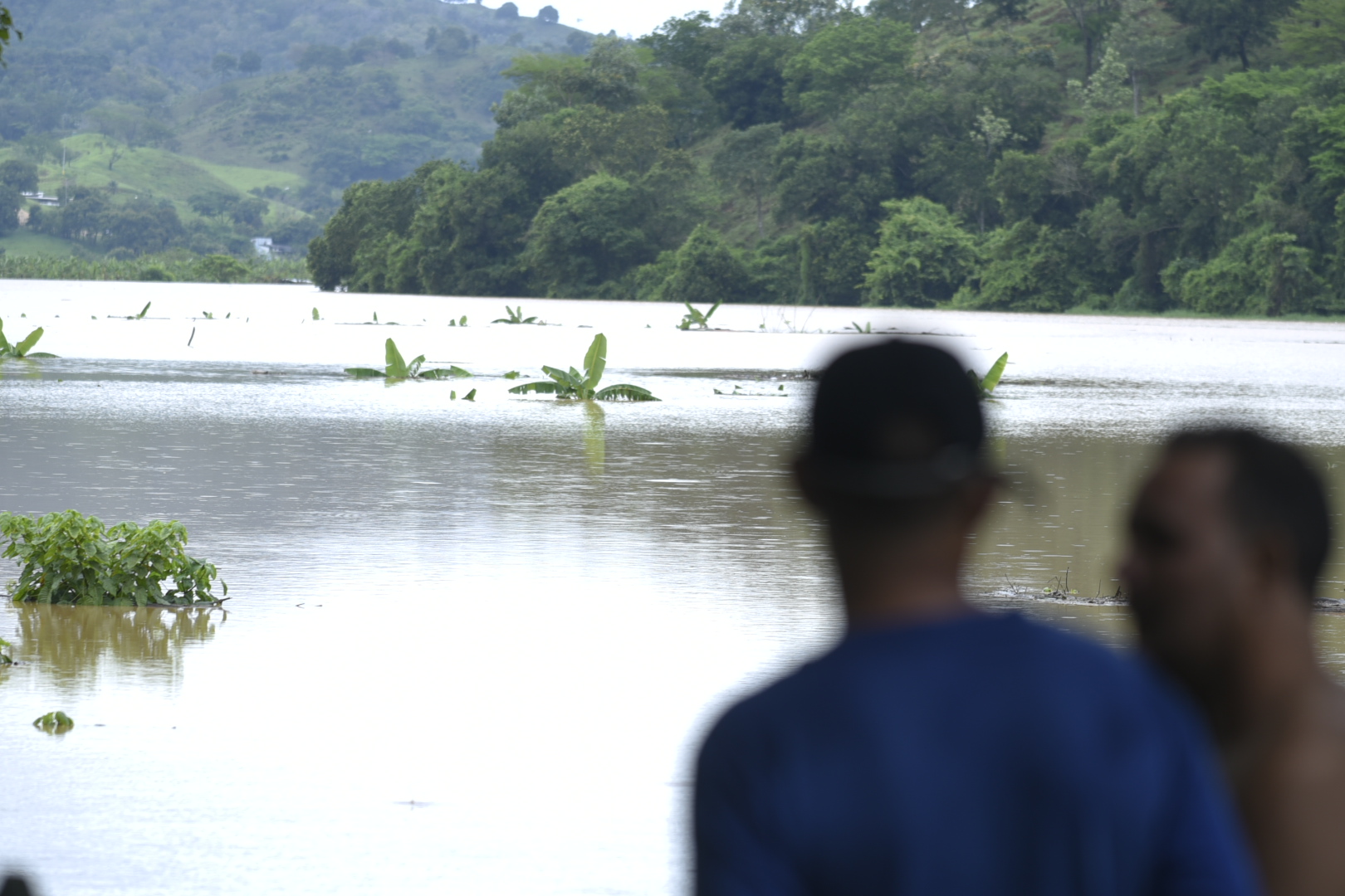 Dos hombres observan los cultivos de plátanos inundados en Hatillo.