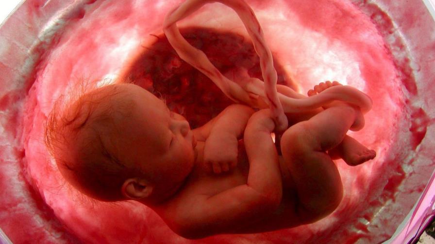 El cerebro de las mujeres se encoge durante el embarazo El cerebro de las mujeres se encoge durante el embarazo