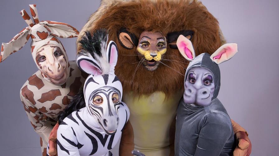 Madagascar, una aventura musical que llegará al TN