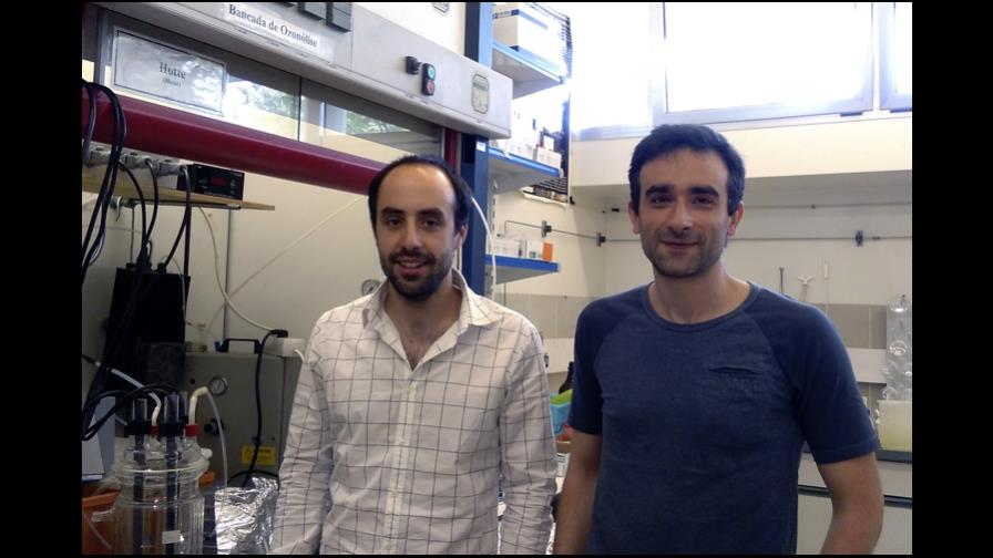 Portugueses investigan uso de almeja asiática para purificar aguas residuales Portugueses investigan uso de almeja asiática para purificar aguas residuales