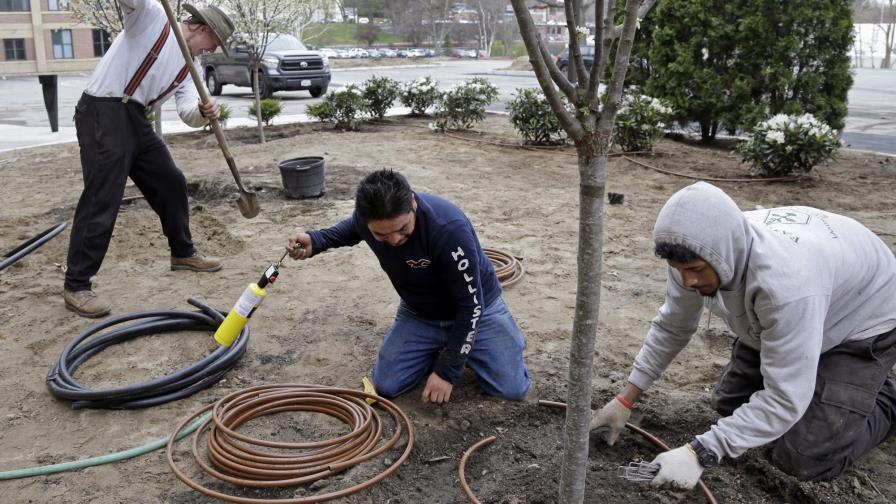 Restricción de visas se empieza a hacer sentir en EE.UU. 