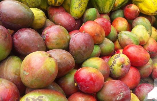 Producción nacional de arroz no será afectada por las lluvias, asegura ministro de Agricultura 