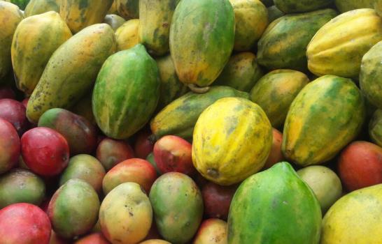 Producción nacional de arroz no será afectada por las lluvias, asegura ministro de Agricultura 