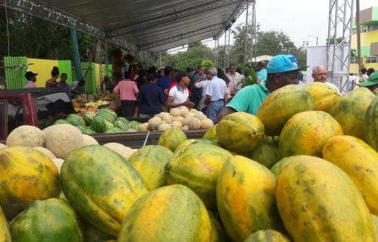 Producción nacional de arroz no será afectada por las lluvias, asegura ministro de Agricultura 