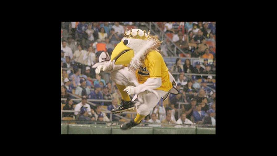 “El Aguilita”, está afectado por un tumor en el cuello