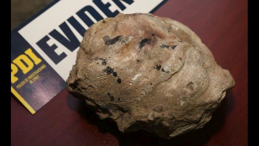 Hallan fósil de 2,58 millones de años usado como adorno en vivienda de Chile Hallan fósil de 2,58 millones de años usado como adorno en vivienda de Chile