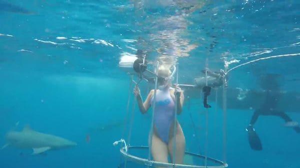 VIDEO: Momento en el que tiburón muerde a actriz porno mientras filmaba anuncio