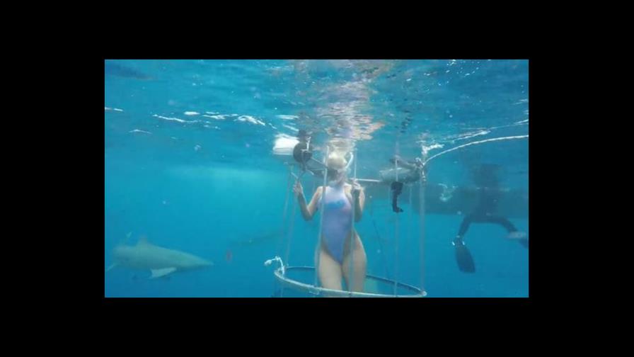 VIDEO: Momento en el que tiburón muerde a actriz porno mientras filmaba anuncio