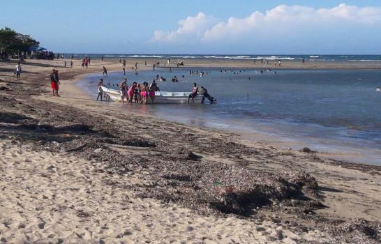 Algas marinas afectan playa y turismo de Montecristi