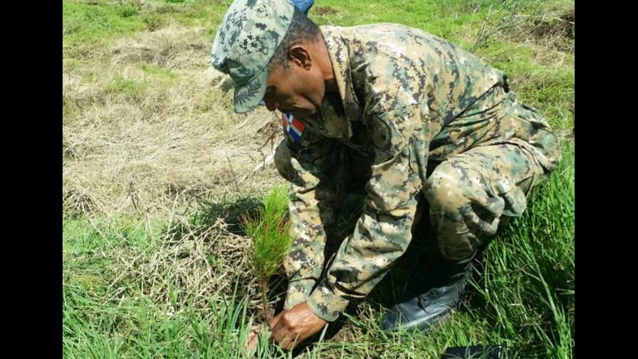 Comienza reforestación en Parque Valle Nuevo