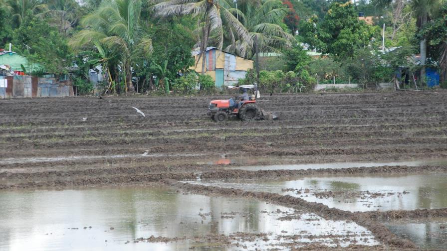 En el país ven positivo crecimiento de la economía, pero hay cautela