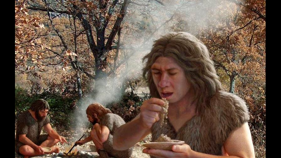Los neandertales seleccionaban el combustible para producir humo