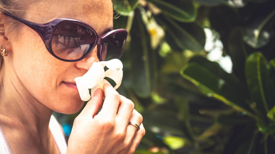 Humanos poseen olfato distinto pero no inferior a mamíferos, según estudio