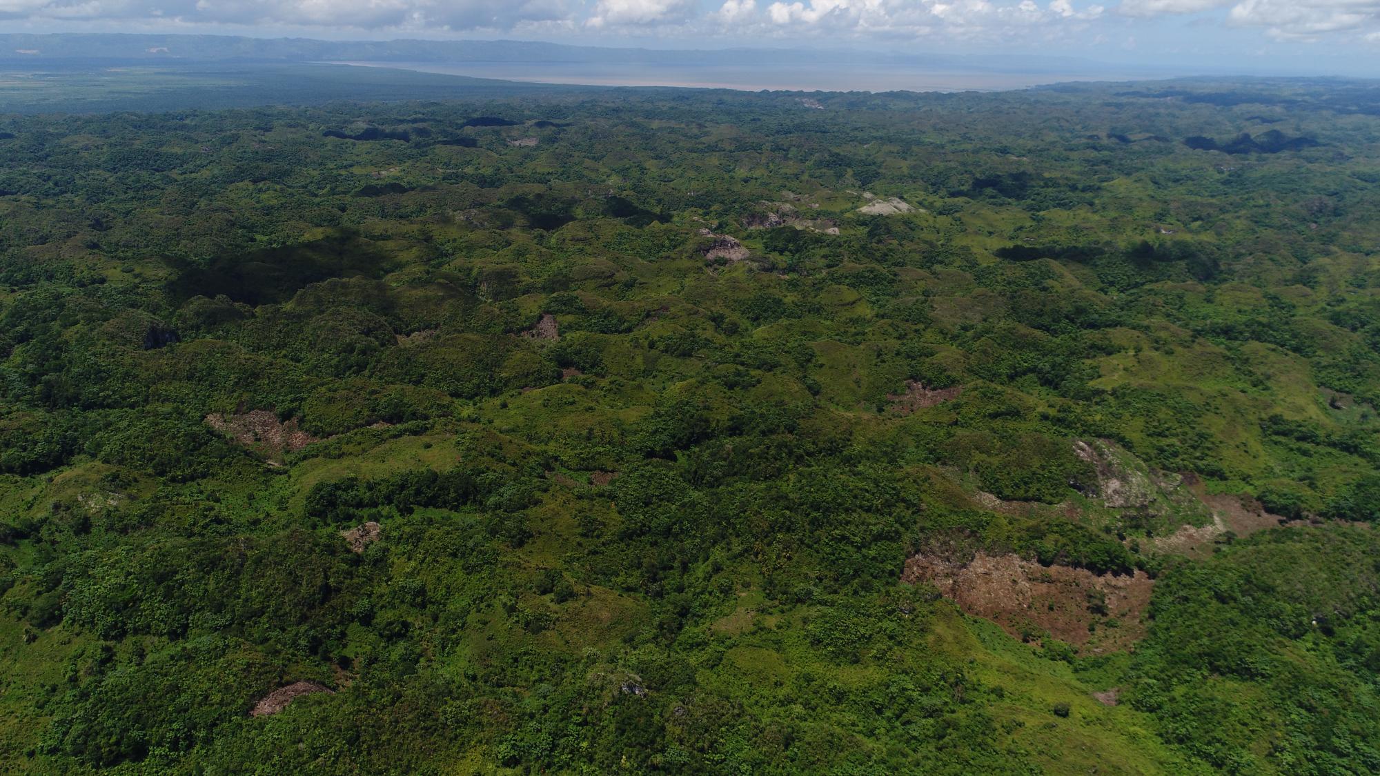 Siembras dentro del Parque Nacional.
